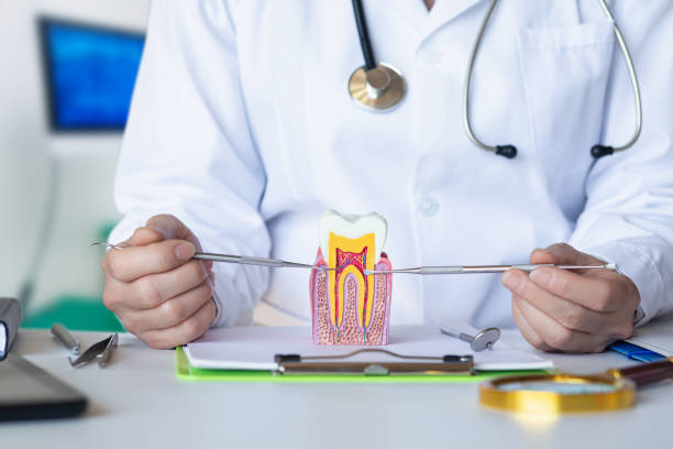 Best Emergency Treatment for Oral Infections in East Jordan, MI